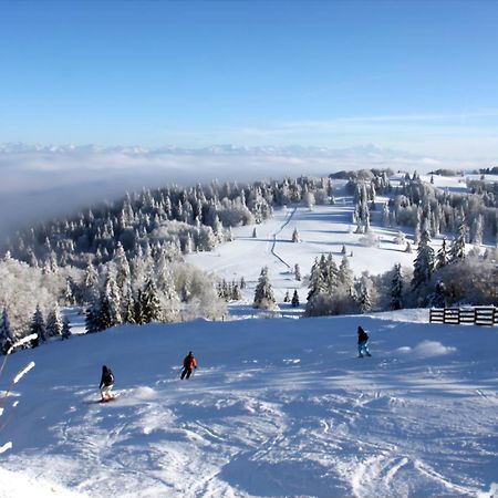 Le Chamois Mont D'Or Daire Métabief Dış mekan fotoğraf